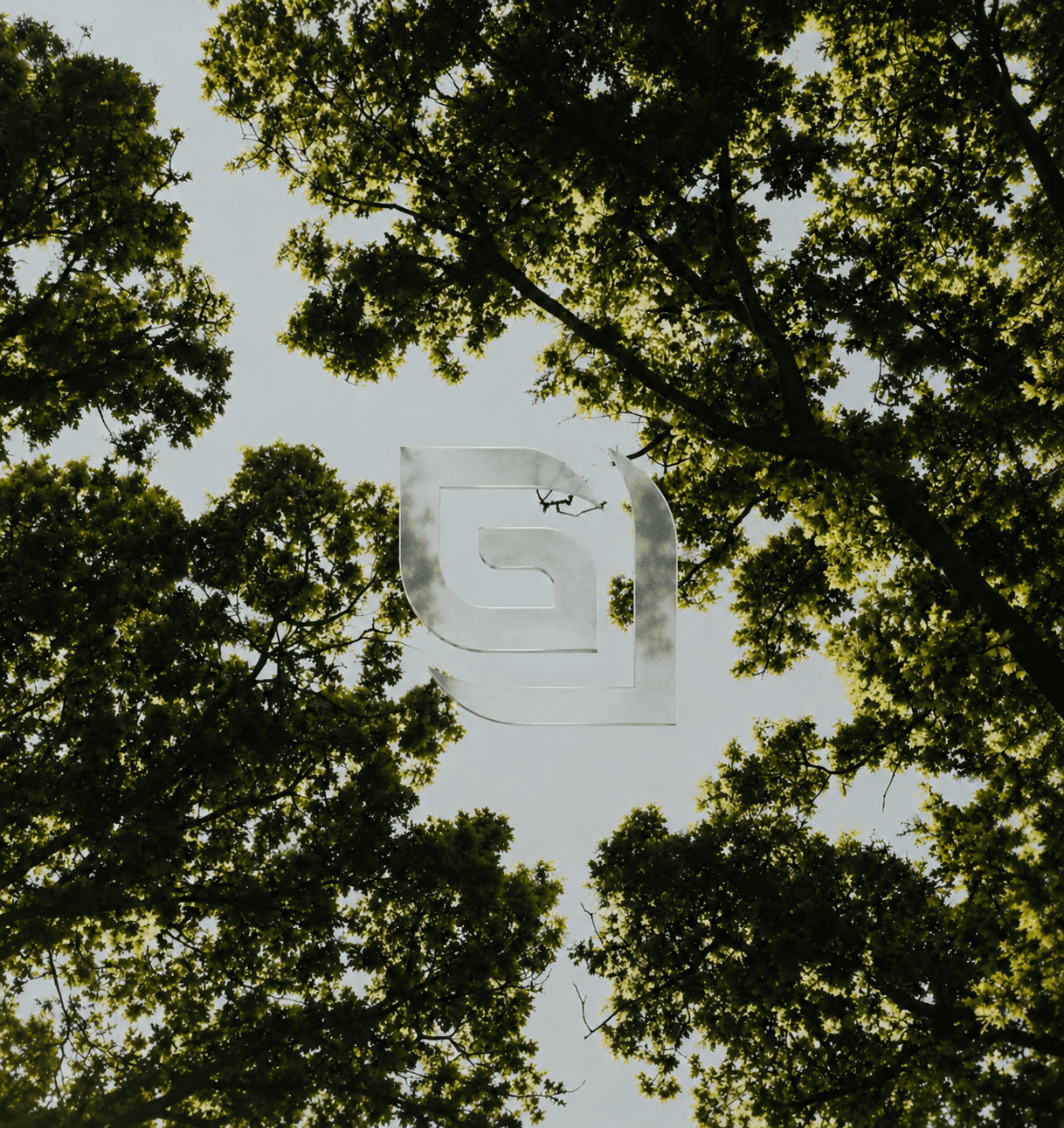 Granver logo reflected among green tree canopies