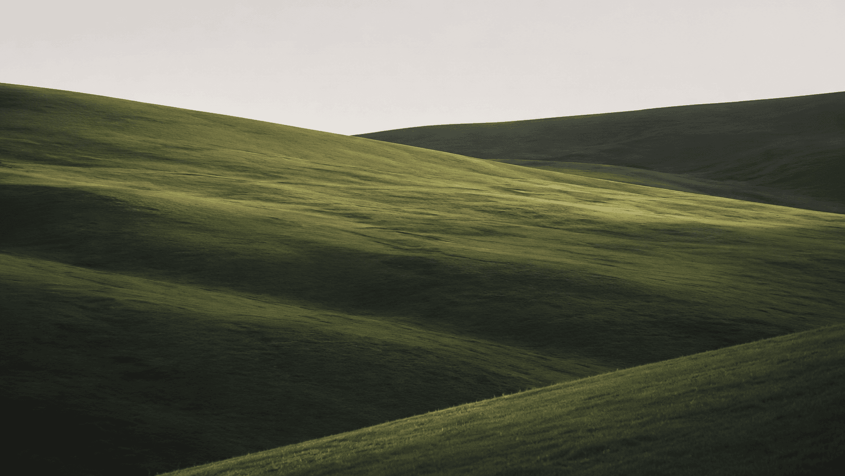 Rolling green landscape